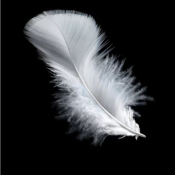 ClosetCleanOutPrices - Picture 2 of 9